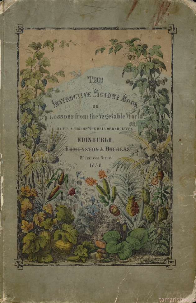 Ботанические иллюстрации